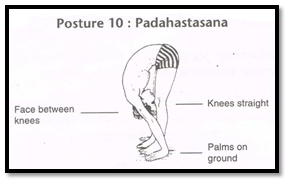 Surya Namaskar Pose 10 - Pada Hastasana