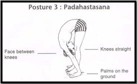 Surya Namaskar Pose 3 - Pada Hastasana