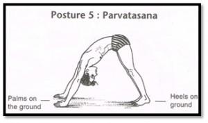 Surya Namaskar Pose 5 - Parvatasana